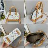 Lady's Louis Vuitton Luxury Handbag